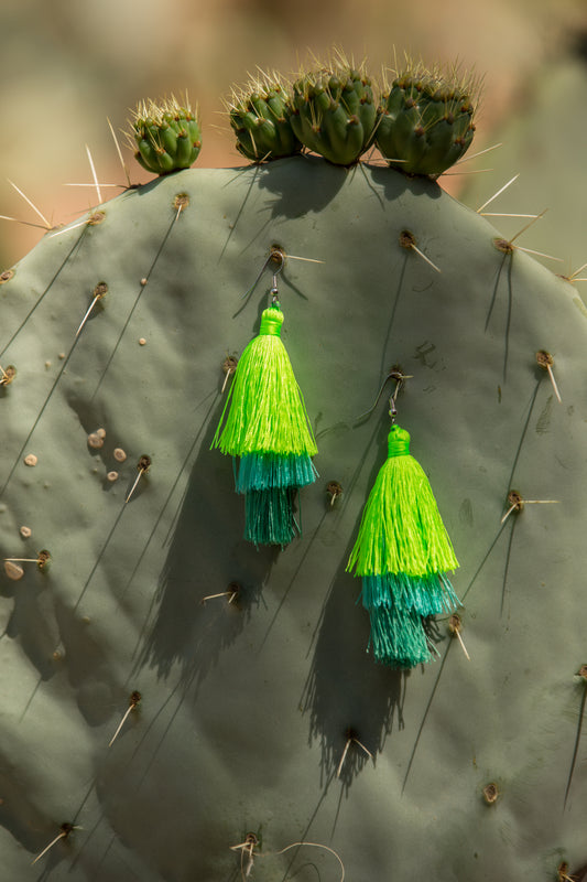 AMAZON RAINFOREST OMBRE EARRING